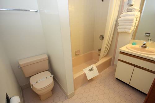 Imagen de la habitación del Hotel Calypso Boutique. Foto 15