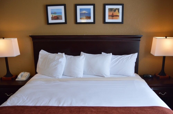 Imagen de la habitación del Hotel Calypso Cay Vacation Villas. Foto 3