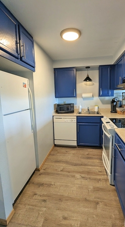 Imagen de la habitación del Hotel Calypso at Nautilus. Foto 6