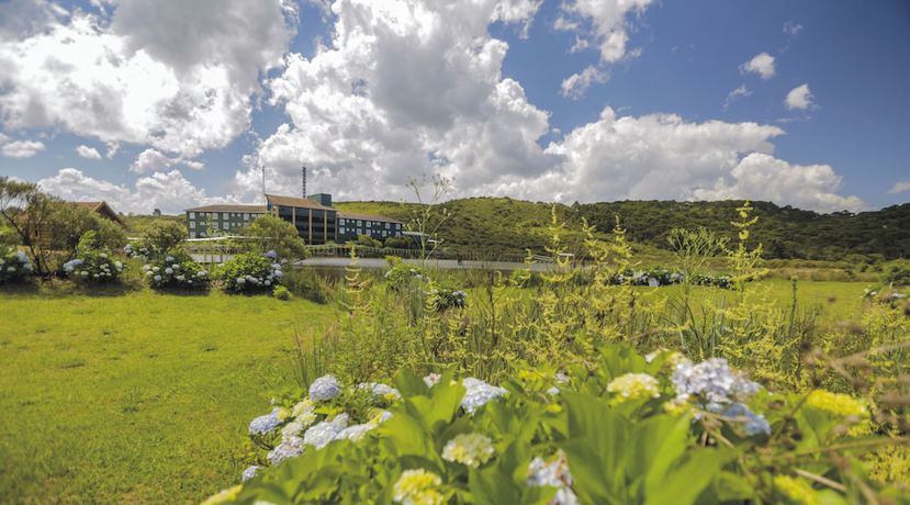 Imagen del bar/restaurante del Hotel Cambar&aacute; Eco. Foto 2
