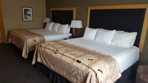 Imagen de la habitación del Hotel Cambria Akron - Canton Airport. Foto 5