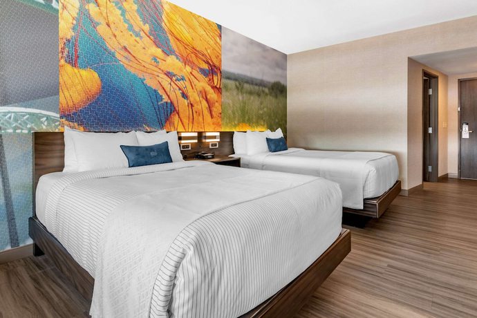 Imagen de la habitación del Hotel Cambria Bloomington Mall of America Minneapolis Airport. Foto 9