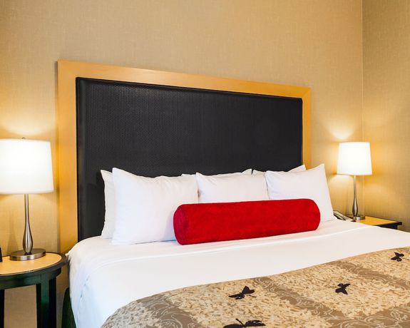 Imagen de la habitación del Hotel Cambria Columbus - Polaris. Foto 9