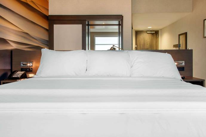 Imagen de la habitación del Hotel Cambria Detroit - Shelby Township. Foto 7