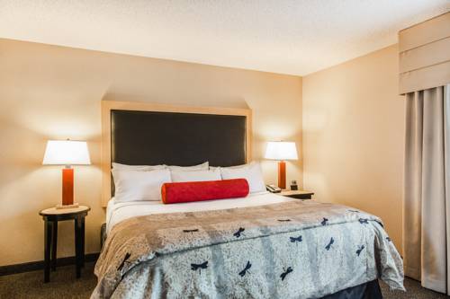 Imagen de la habitación del Hotel Cambria Minneapolis Maple Grove. Foto 5