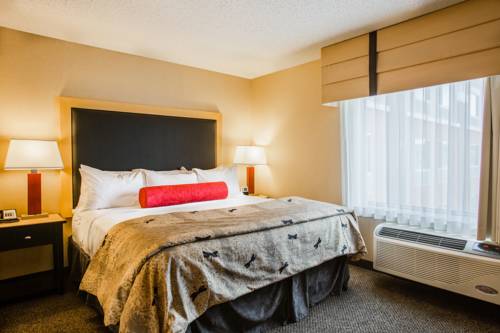 Imagen de la habitación del Hotel Cambria Minneapolis Maple Grove. Foto 12