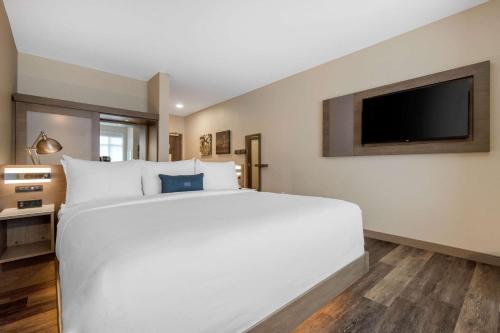 Imagen general del Hotel Cambria New Haven University Area. Foto 13