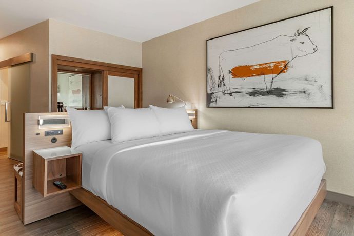 Imagen de la habitación del Hotel Cambria Richardson - Dallas. Foto 12