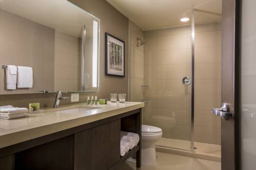 Imagen de la habitación del Hotel Cambria Rockville. Foto 6