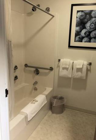 Imagen de la habitación del Hotel Camden Riverhouse. Foto 3