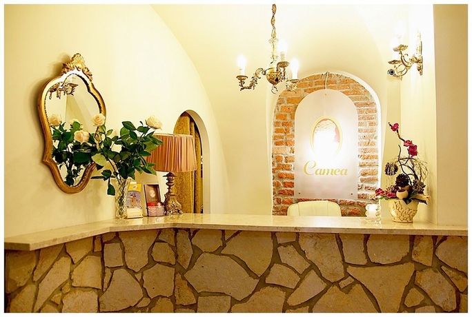 Imagen de los interiores del Hotel Camea. Foto 5