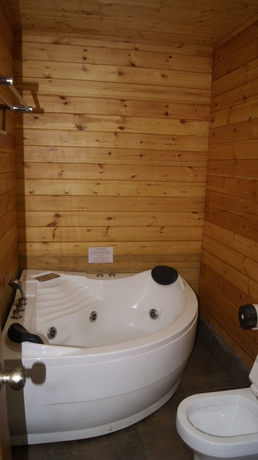 Imagen de la habitación del Hotel Camelot Fantasy Resort. Foto 5