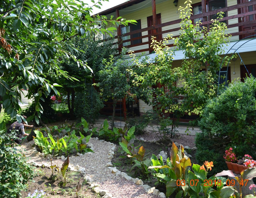 Imagen general del Hotel Camere De &icirc;nchiriat Doriana. Foto 19