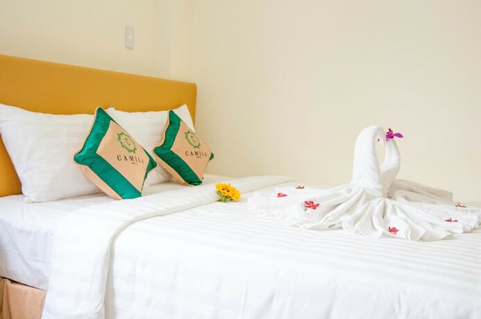 Imagen general del Hotel Camila. Foto 4