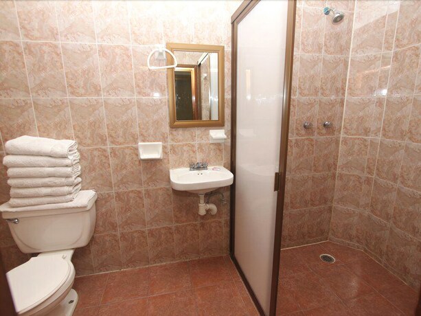 Imagen de la habitación del Hotel Camino De Villaseca. Foto 12