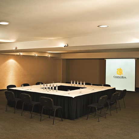 Imagen de los interiores del Hotel Camino Real Pachuca. Foto 8