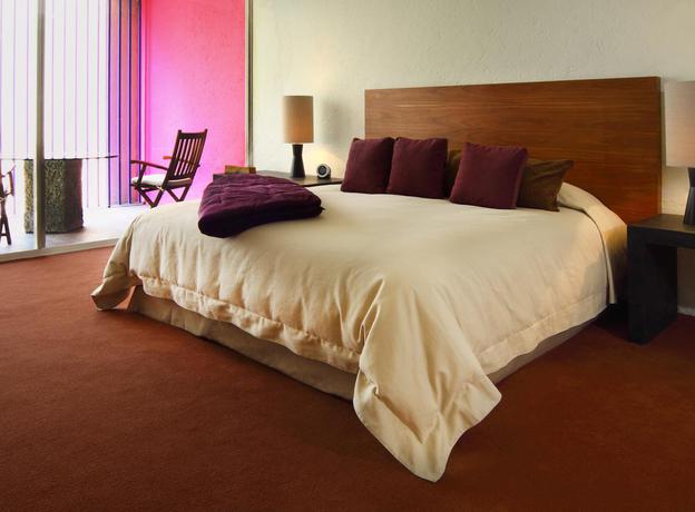 Imagen general del Hotel Camino Real Polanco Mexico. Foto 16