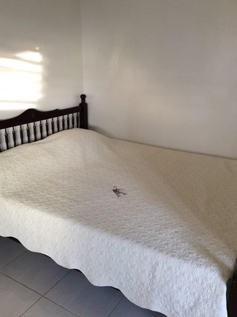 Imagen de la habitación del Hotel Camotes Flying Fish Resort. Foto 2