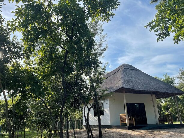 Imagen de la habitación del Hotel Camp Atupele. Foto 17