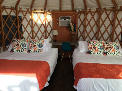 Imagen de la habitación del Hotel Camp Coyoacan. Foto 5