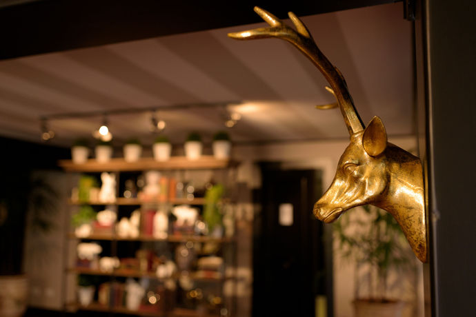 Imagen de los interiores del Hotel Camp David Ranch. Foto 11