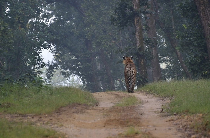 Imagen general del Hotel Camp Dev Vilas Kanha. Foto 5