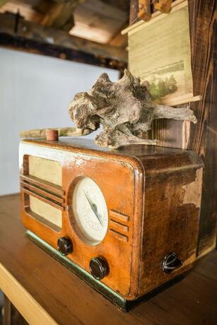 Imagen general del Hotel Camp Divlja Rijeka. Foto 3