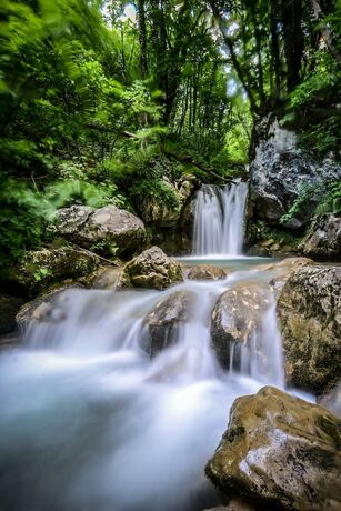 Imagen general del Hotel Camp Divlja Rijeka. Foto 6