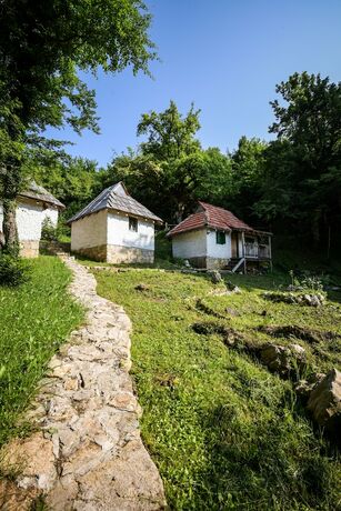 Imagen general del Hotel Camp Divlja Rijeka. Foto 11