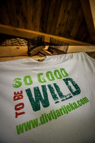 Imagen general del Hotel Camp Divlja Rijeka. Foto 13