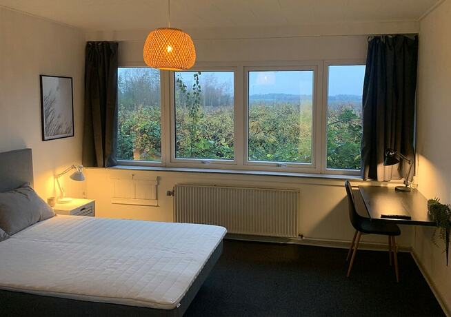 Imagen de la habitación del Hotel Camp Femern B&aelig;lt. Foto 5
