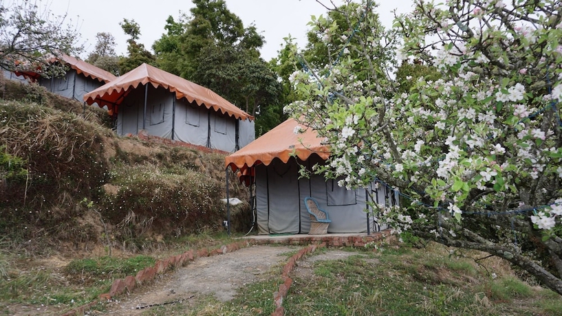 Imagen general del Hotel Camp Garden Kanatal. Foto 1