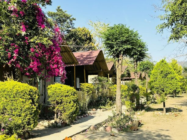 Imagen general del Hotel Camp High 5 Jayalgarh. Foto 12