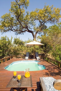 Imagen de la piscina del Hotel Camp Shonga. Foto 3