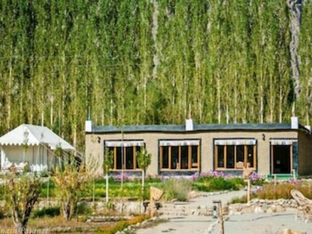 Imagen general del Hotel Camp Silver Sand. Foto 5