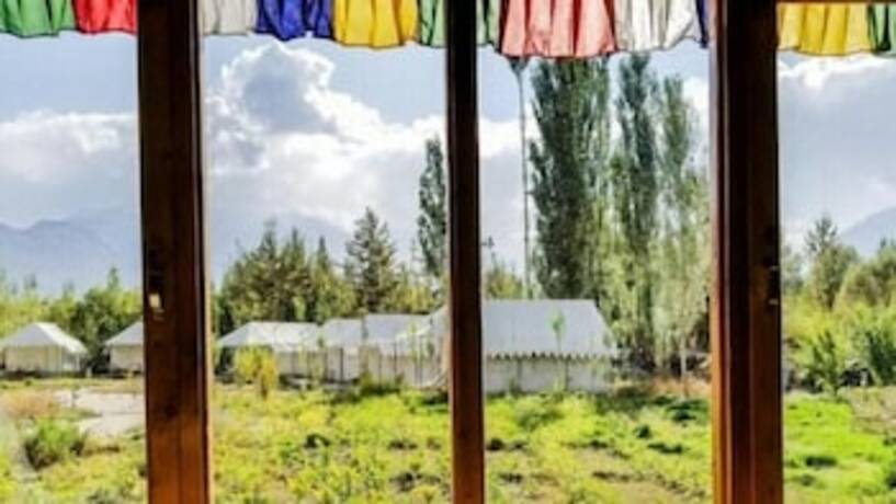 Imagen general del Hotel Camp Silver Sand. Foto 8