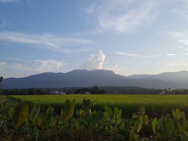 Imagen de los exteriores del Hotel Camp Story Chiangmai. Foto 16