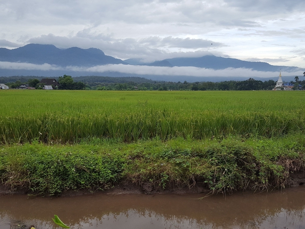 Imagen de los exteriores del Hotel Camp Story Chiangmai. Foto 18