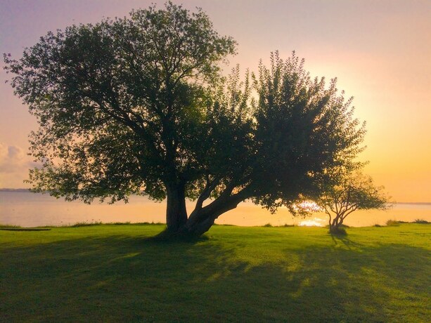 Imagen general del Hotel Camp Ven. Foto 7