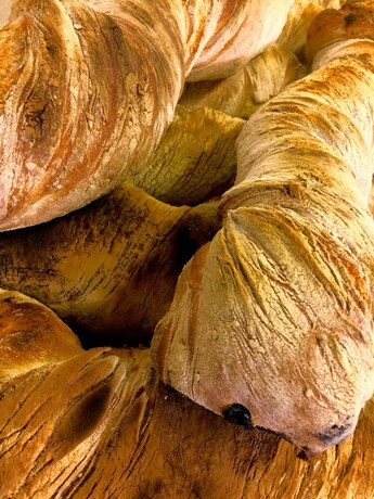 Imagen general del Hotel Camp Ven. Foto 10