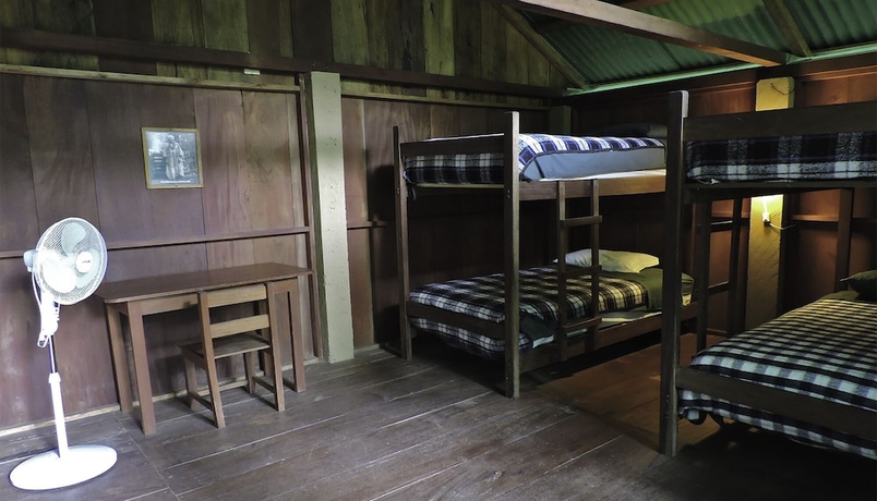 Imagen de la habitación del Hotel Campamento Rio Lacanja. Foto 3