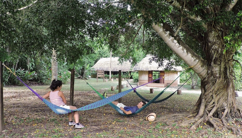 Imagen de los interiores del Hotel Campamento Rio Lacanja. Foto 17