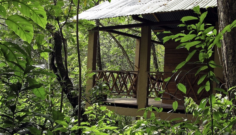 Imagen de la habitación del Hotel Campamento Rio Lacanja. Foto 6