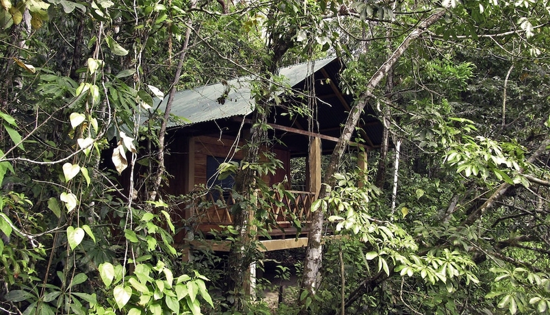 Imagen de la habitación del Hotel Campamento Rio Lacanja. Foto 7