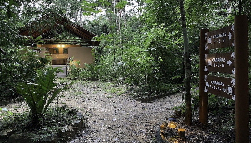 Imagen de la habitación del Hotel Campamento Rio Lacanja. Foto 14