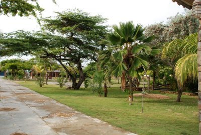 Imagen de los exteriores del Hotel Campamento Vacacional La Troja. Foto 3