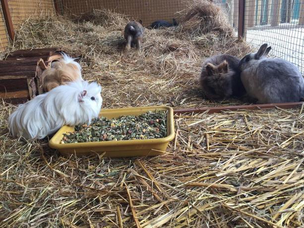 Imagen de los exteriores del Hotel Campanile Val de France. Foto 14