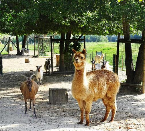 Imagen de los exteriores del Hotel Campanile Val de France. Foto 15