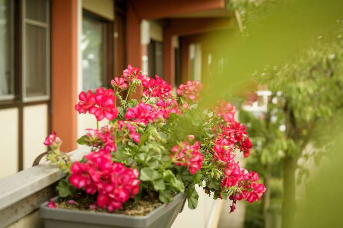 Imagen de los interiores del Hotel Campanile 's-hertogenbosch. Foto 20