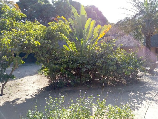 Imagen general del Hotel Campement Asseb. Foto 14